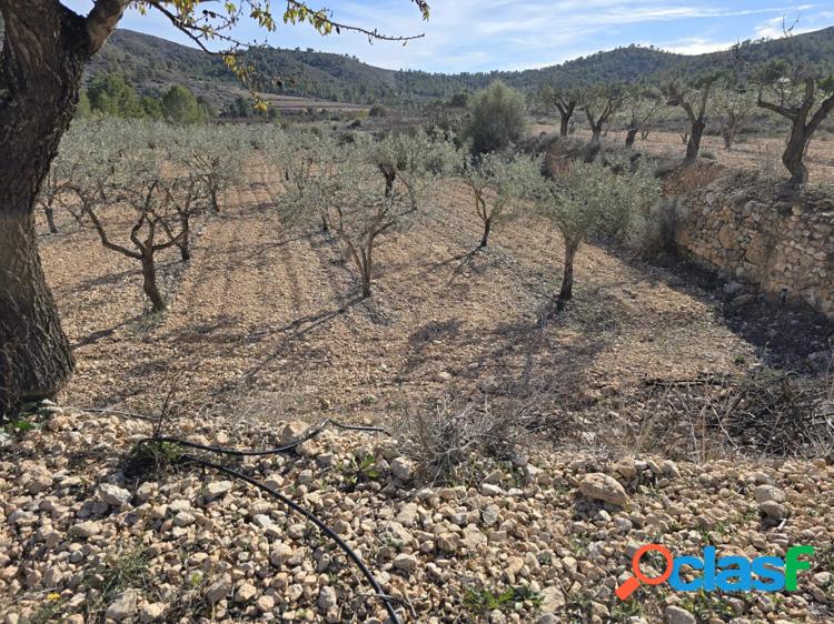 Terreno en Hond/xc3/xb3n de las Nieves 3