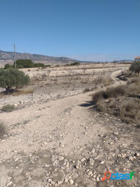 Terreno r/xc3/xbastico en Torre del Rico, Jumilla 4