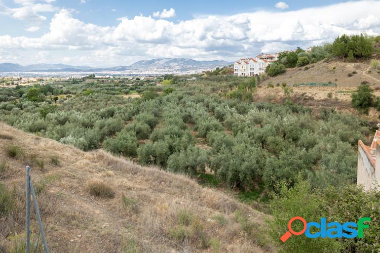 Venta de finca r\xc3\xbastica de 77 olivos en Otura (Granada)