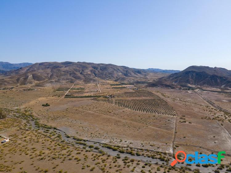 /xc2/xa1Gran Oportunidad en Tabernas! Finca de 14 Hect/xc3/xa1reas 6