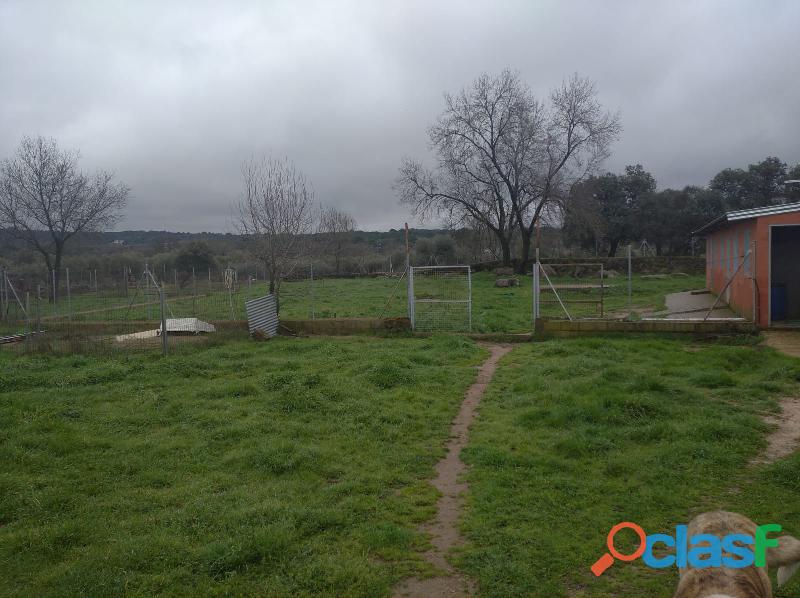 Criadero canino en venta Criadero canino en venta