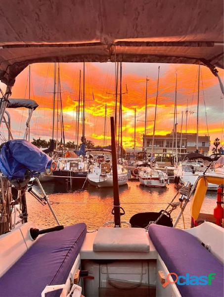 VELERO FEELING 286 Special 9 m 11